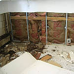 R.E.O. mold remediator for damage